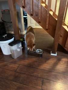 Disaster preparedness. Have everything together and easy to grab.