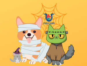 Stable Hands Pet Care Halloween Pets.