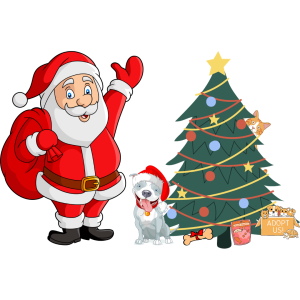 Prepare for a pet sitter at Christmas