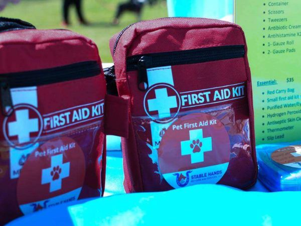 Stable Hands Pet Care Cat Care